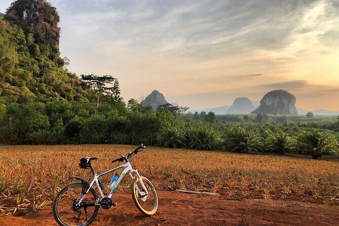 Guided Mountain Biking - Grand Tour - Trails of Ao Nang - Stop to Stop: What You Can Expect Along the Ride