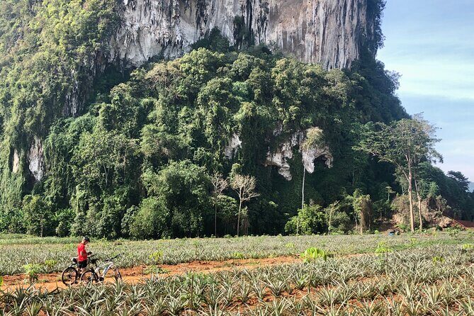 Guided Mountain Biking - Grand Tour - Trails of Ao Nang - Pace, Effort, and How to Prepare