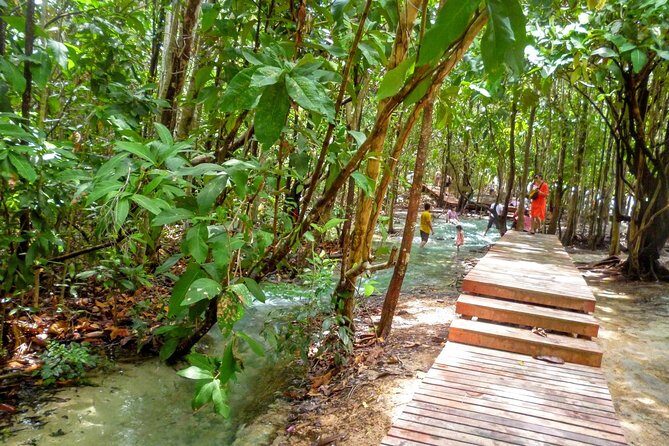 Half-Day Jungle Tour Including Crystal Pool and Krabi Hot Springs - Emerald Pool (Sa Morakot): swimming in mineral water