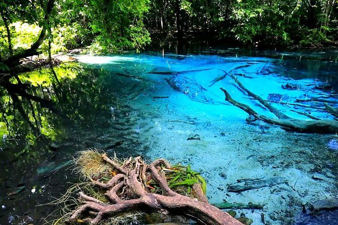 Half Day Jungle Tour to Emerald pool and Krabi Hot Spring - Stop 1: Sa Morakot Emerald Pool and what you’ll do there