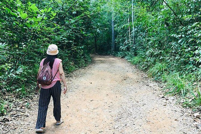Half Day Jungle Tour to Emerald pool and Krabi Hot Spring - The short rainforest walk and the reality of park fees
