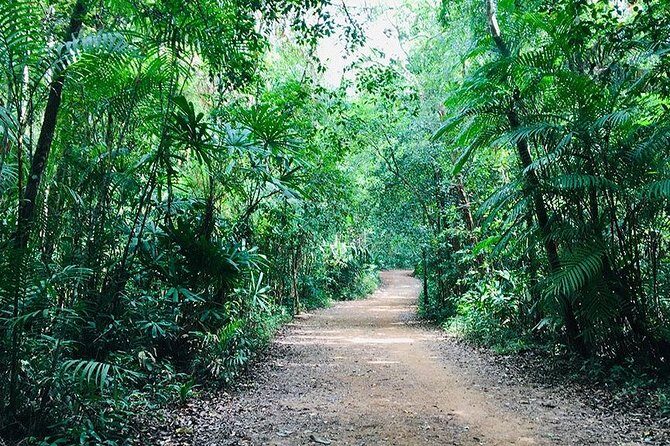 Half Day Jungle Tour to Emerald pool and Krabi Hot Spring - Price and value: where $39.25 really lands