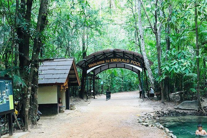 Half Day Jungle Tour to Emerald pool and Krabi Hot Spring - Crowds and comfort: the real-world limits of Emerald Pool