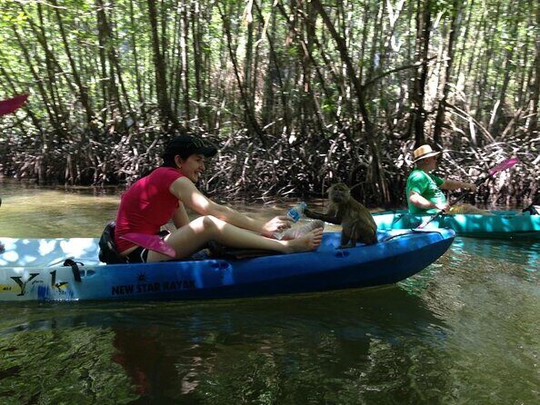 Half Day Kayaking at Ao Thalane Krabi - Key points before you go