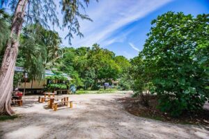 Half-Day Morning Bamboo Island Tour from Phi Phi by Longtail Boat - The Longtail Boat Ride: Local Charm With Noise and Crowding Risks