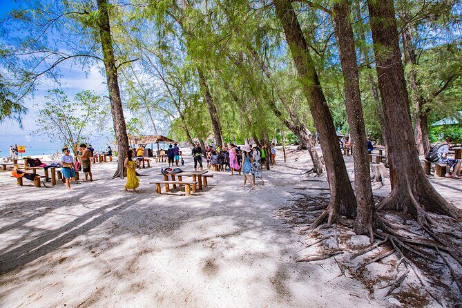 Half-Day Morning Bamboo Island Tour from Phi Phi by Longtail Boat - Monkey Beach and Shark Point: Wildlife Stops With Real Expectations