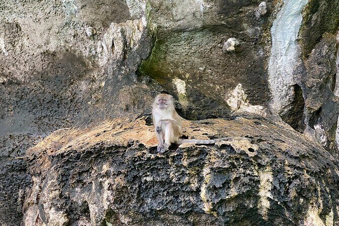 Half Day Tour Around Phi Phi Islands By Private Longtail Boat From Phi Phi - What’s included: the comfort and safety details you’ll appreciate