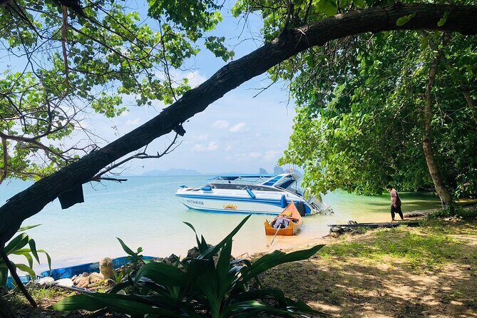 James Bond Private Tour from Krabi by Speedboat - Big Tree on Koh Yao Noi: short forest time with ancient-feeling shade
