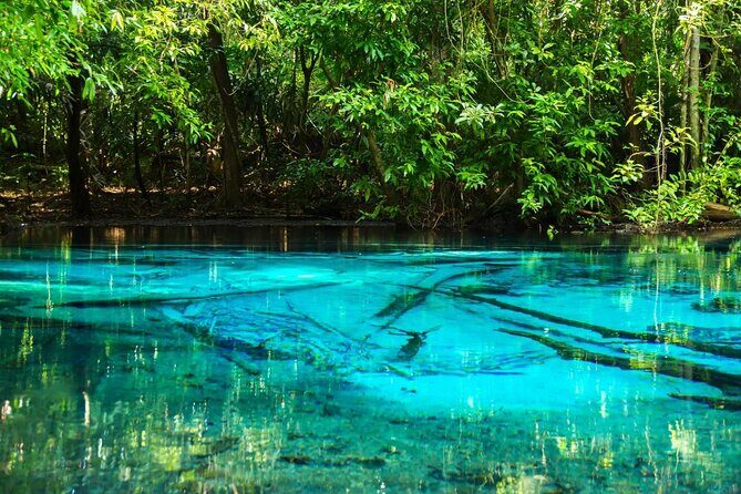 Jungle Tour to Emerald Pool, Krabi Hot Spring and Tiger Cave Temple - Jungle-to-Temples Schedule: what 7 hours in Krabi feels like
