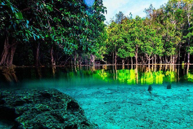 Jungle Tour to Emerald Pool, Krabi Hot Spring and Tiger Cave Temple - Namtok Ron Hot Springs: the forest soak at the start