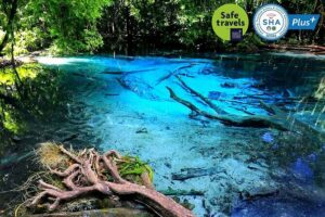 Jungle Tour to Emerald Pool, Krabi Hot Spring and Tiger Cave Temple - Tiger Cave Temple (Wat Tham Suea): 1,260 steps, monkeys, and big views