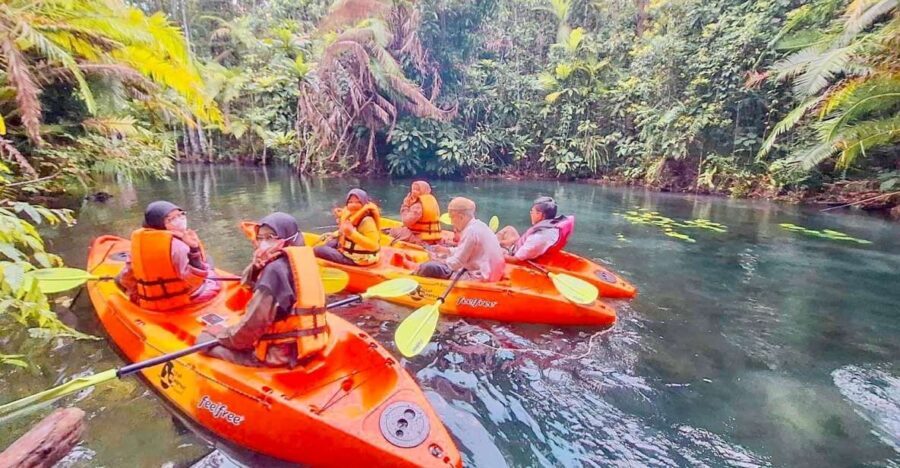 Kayaking and swiming klongrood - Paddle time: rainforest and rubber-tree river stretches