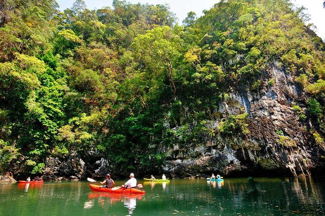 Kayaking in Ao Thalane - Discover the Mangrove life - Stop 2 at Thapom Klong Song Nam: freshwater meets sea water