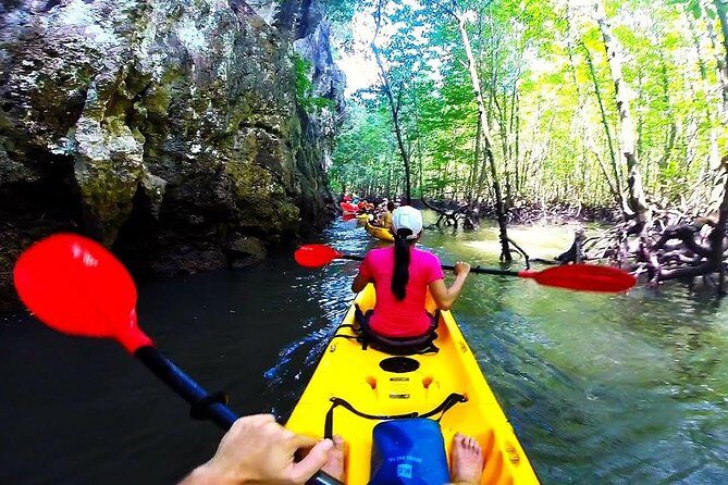 Kayaking in Ao Thalane - Discover the Mangrove life - Price and value: what $194.69 gets you (and what it saves you)