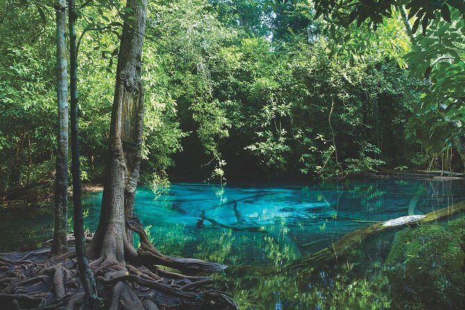 Kayaking in Ao Thalane - Discover the Mangrove life - Stop 1 at Ao Tha Lane: cliffs, mangroves, and wildlife spotting