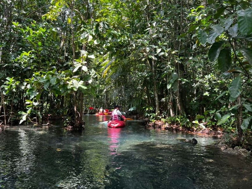 Klong Rud Kayaking with Hotel Transfer - Key Things to Know Before You Go