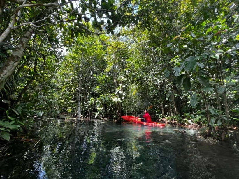Klong Rud Kayaking with Hotel Transfer - From Ao Nang Pickup to Klongroot Pier: The Ride That Sets the Pace