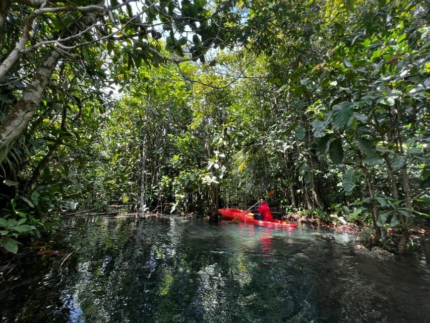 Klong Rud Kayaking with Hotel Transfer - Who This Tour Suits Best (and Who Should Skip It)