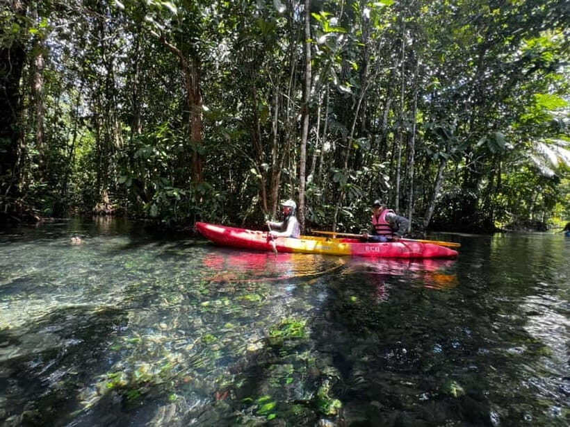 Klong Rud Kayaking with Hotel Transfer - Paddling Klong Nam Sai Lagoon: Calm Water, Mangrove Views, and Real Slow Travel