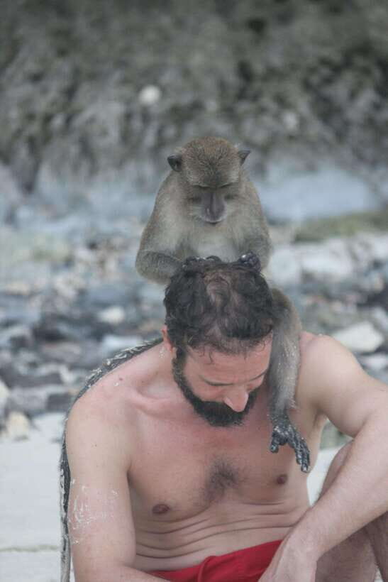 Ko Phi Phi Don: Speedboat Day Trip with Shark Snorkeling - Monkey Beach Photos and Fruit on the Go