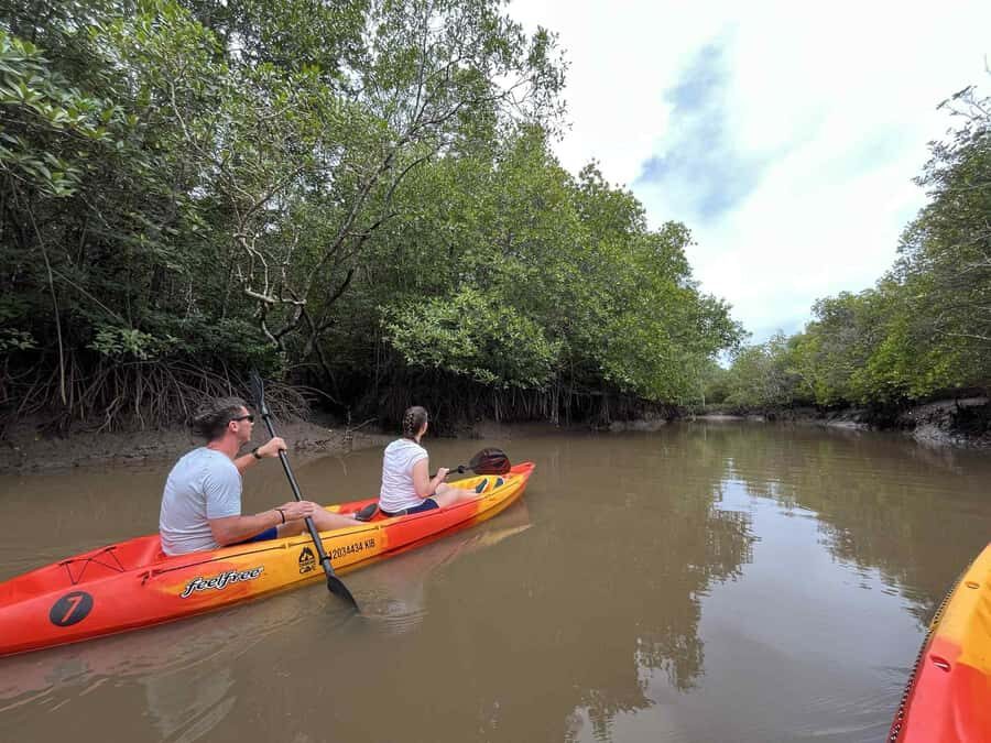Koh Lanta: Amazon Mangrove Kayaking Tour With Lunch - Koh Lanta Mangrove Kayaking: What makes this tour feel different