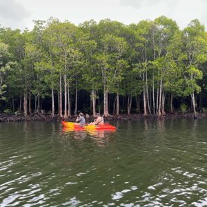 Koh Lanta: Amazon Mangrove Kayaking Tour With Lunch - Where the mangroves fit in: wildlife, shade, and the pace of paddling