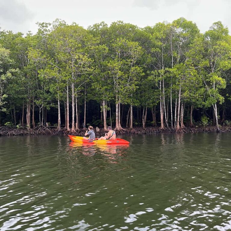 Koh Lanta: Amazon Mangrove Kayaking Tour With Lunch - Where the mangroves fit in: wildlife, shade, and the pace of paddling