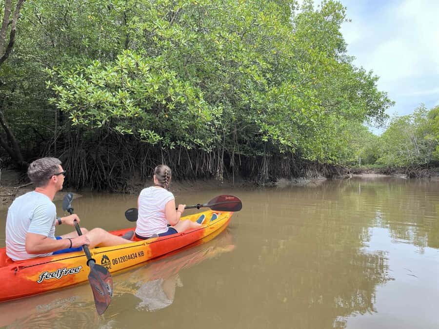 Koh Lanta: Amazon Mangrove Kayaking Tour With Lunch - Who this tour suits best (and who should think twice)
