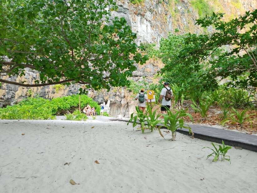 Koh Lanta: Tin's Speedboat Odyssey to Bamboo Island & Beyond - Bamboo Island: lunch, sun time, and where you might spot reef life