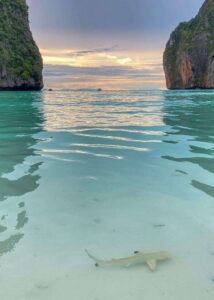 Koh Phi Phi: Maya Bay Private Longtail Boat Tour - Meeting Point and Getting On the Boat Without Headaches