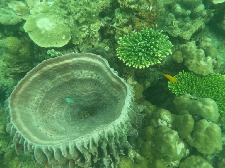 Krabi: 4 Islands & Krabi's Separated Sea Longtail Boat Tour - Railay’s Phra Nang Cave Beach: limestone cliffs and the cave moment