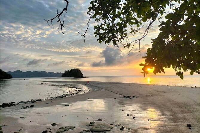 Krabi 7 Islands Sunset Tour BBQ Beachside Dinner + Plankton Swim - The night plankton swim: what to expect and how to maximize it