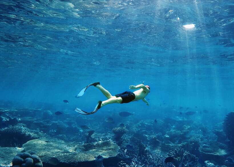Krabi: 7 Islands Sunset Tour with Plankton Swim and BBQ - Key highlights to know before you go