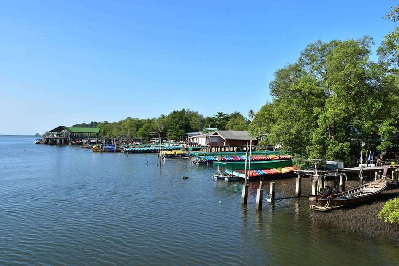Krabi: A Kayaking Odyssey through Din Daeng Mangrove Maze - Ko Ha (Five Island) finish: a short island-feel paddle