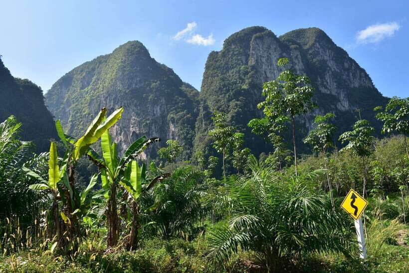 Krabi: A Kayaking Odyssey through Din Daeng Mangrove Maze - Price and value check: what $32 gets you in practice