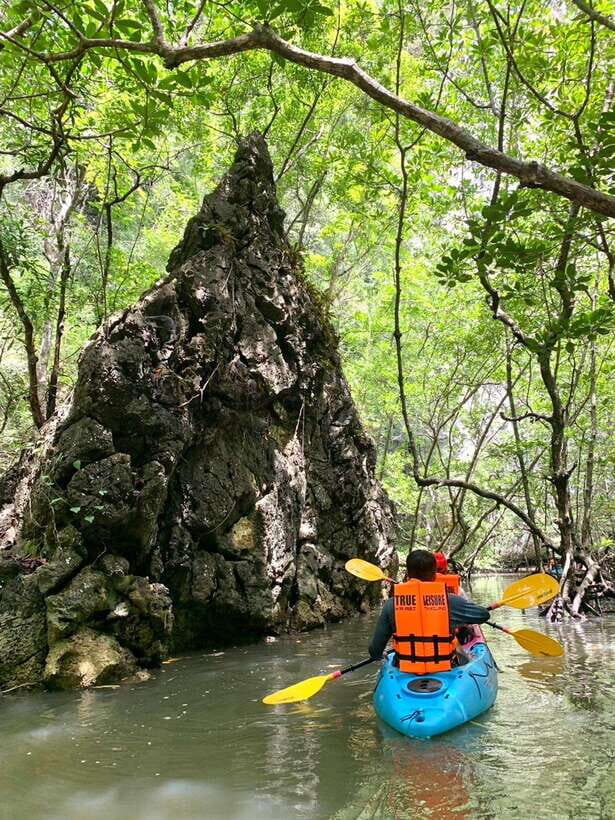 Krabi: A Kayaking Odyssey through Din Daeng Mangrove Maze - Who should book this and who should skip it