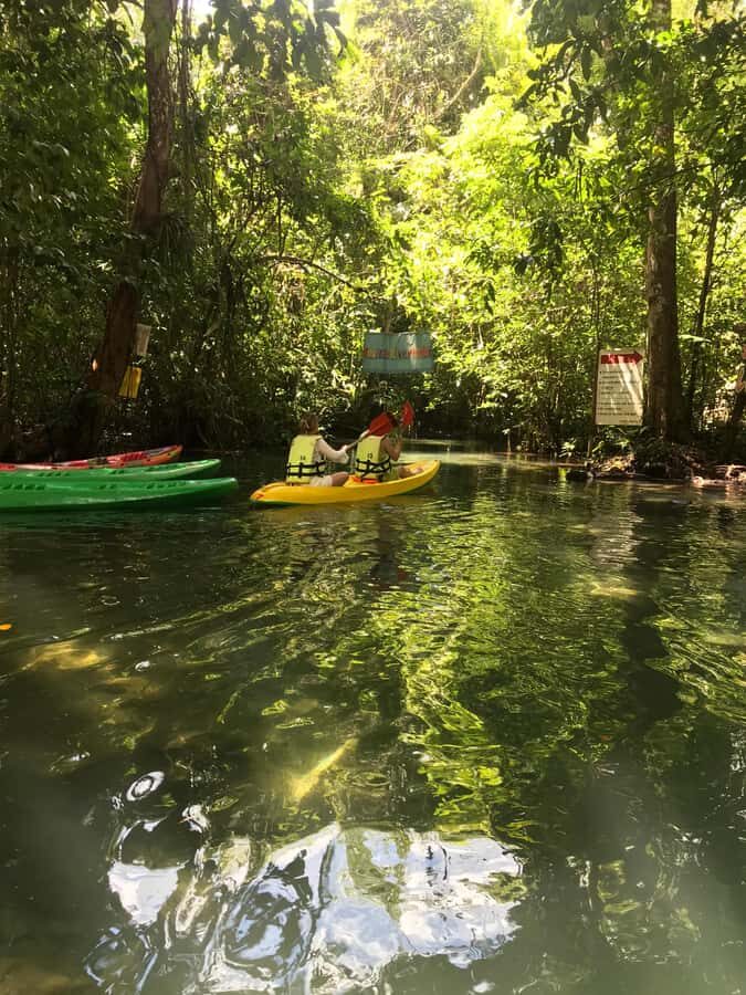 Krabi: Amazon Klong Srakaew Kayaking With Lunch - Klong SraKaew: Why This Canal Feels Like a Break From Krabi