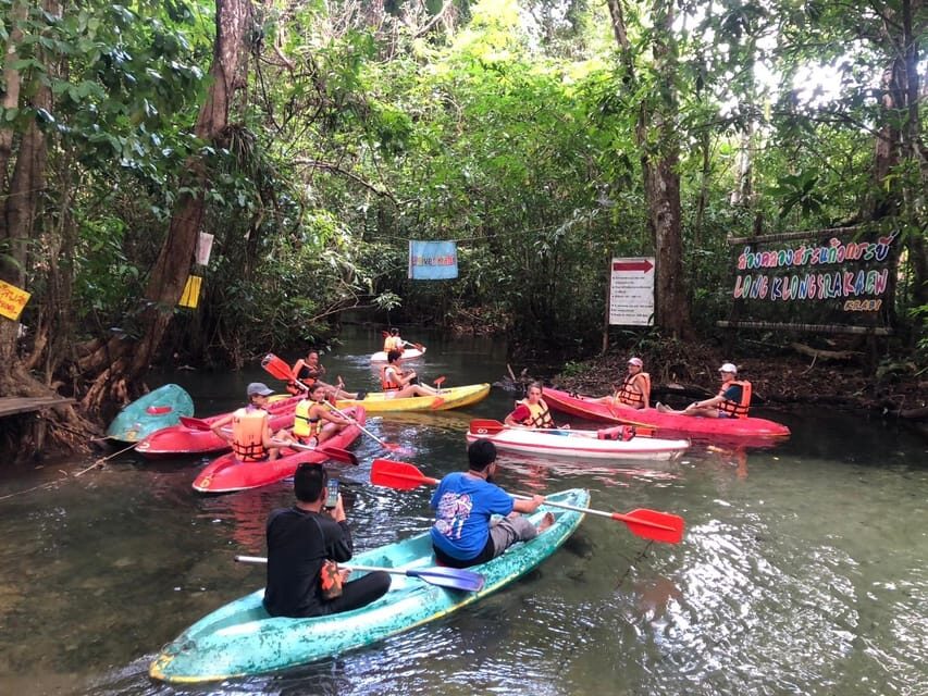 Krabi: Amazon Klong Srakaew Kayaking With Lunch - The Emerald Canal Experience: Shade, Birds, and Fish at Water Level