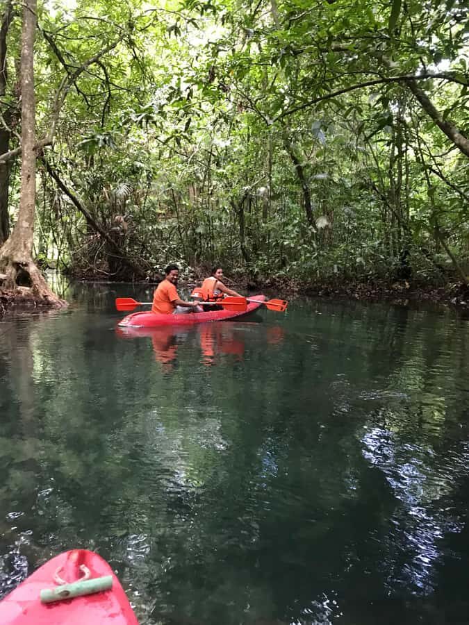 Krabi: Amazon Klong Srakaew Kayaking With Lunch - Lunch by the Canal: Fried Rice, Fruit, and Soft Drinks