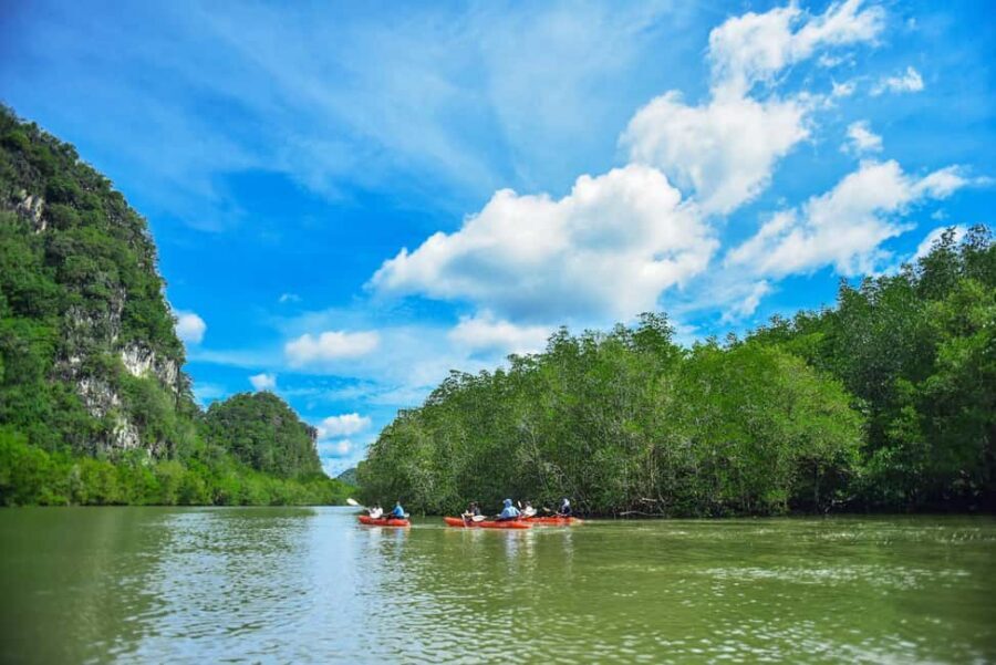 Krabi: Ao Thalane Mangrove Kayaking with Extras - The On-Pier Start: Orientation, Safety Briefing, and Settling In