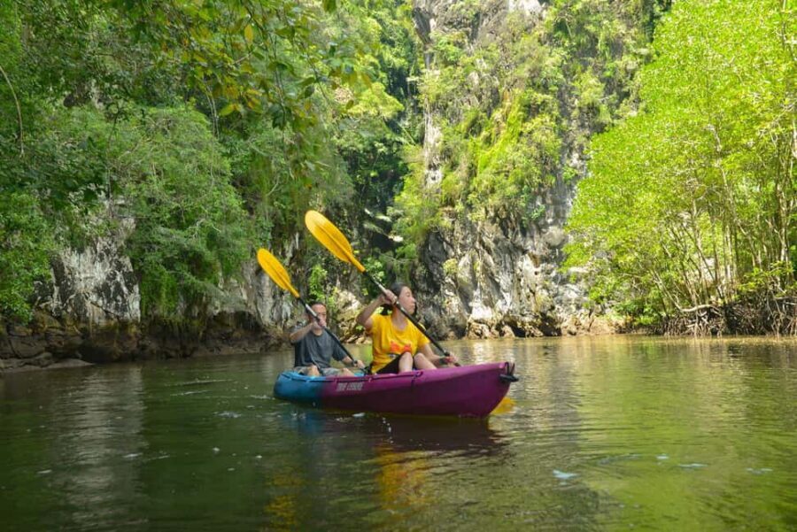 Krabi: Ao Thalane Mangrove Kayaking with Extras - Mangrove Channels and Limestone Canyons: What the Kayaking Is Like