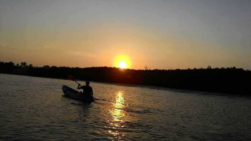 Krabi: Ao Thalane Sunset Kayak adventure (group of 10 max) - Paddling Ao Thalane: mangroves first, then the limestone canyon