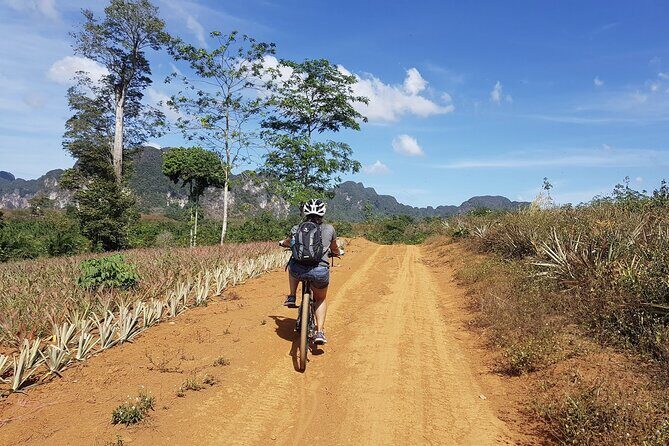 Krabi Countryside Eco Cycling Tour - Multiple Trails - Why biking Krabi’s countryside beats sitting in traffic