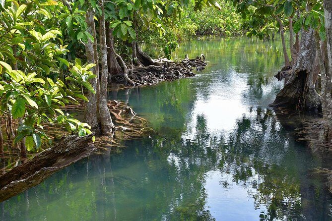 Krabi Countryside Eco Cycling Tour - Multiple Trails - How the half-day to full-day timing feels in the real world