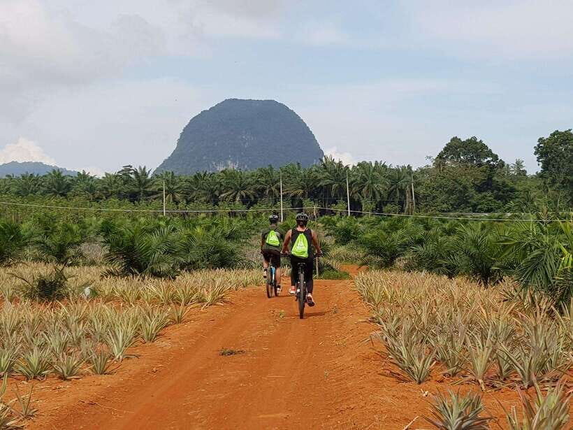 Krabi: Eco-Cycling Tour with Nature, Culture, and Fun - Riding Through Krabi’s Quiet Side: Why This Tour Works