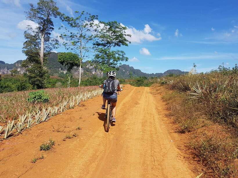 Krabi: Eco-Cycling Tour with Nature, Culture, and Fun - Timing, Pace, and What the 4–10 Hour Window Means
