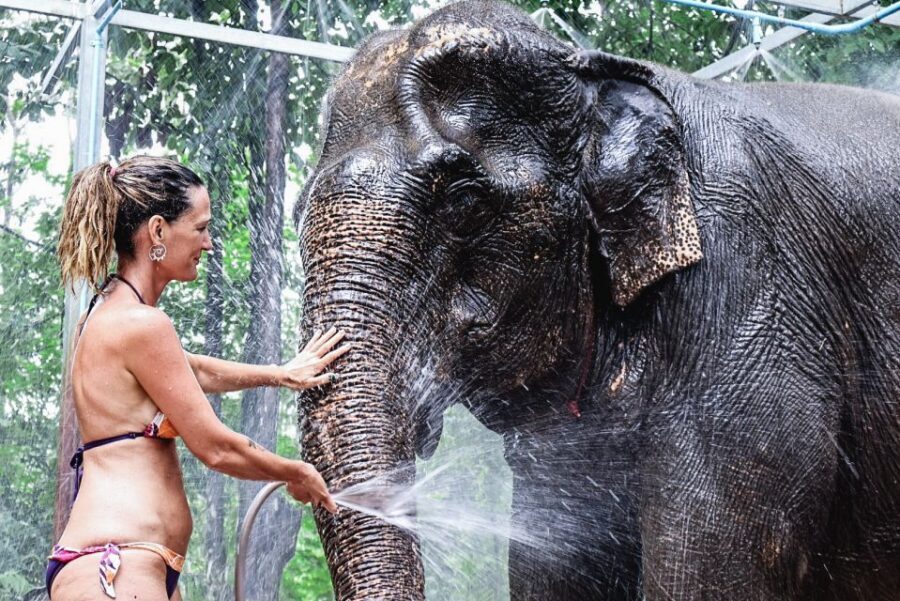 Krabi: Elephant Bathing Session at Krabi Elephant Shelter - Quick hits before you go