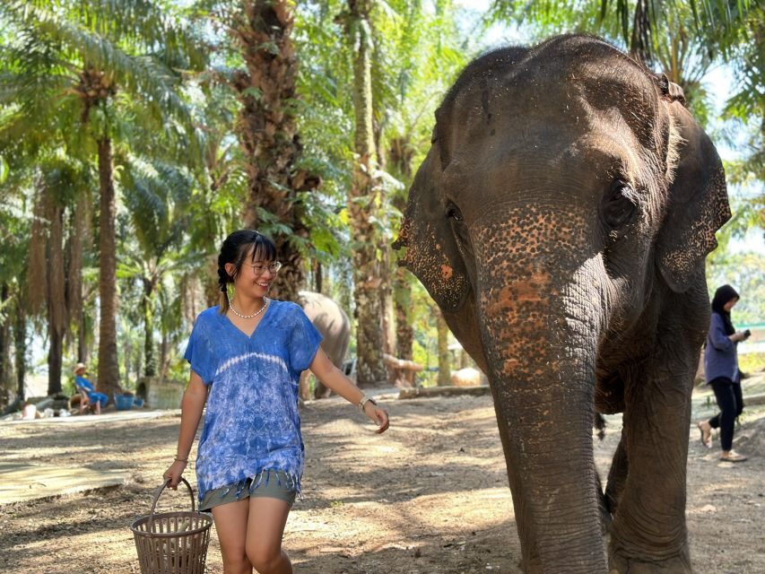 Krabi: Elephant Bathing Session at Krabi Elephant Shelter - Arriving at the Shelter: The Rules That Keep It Comfortable