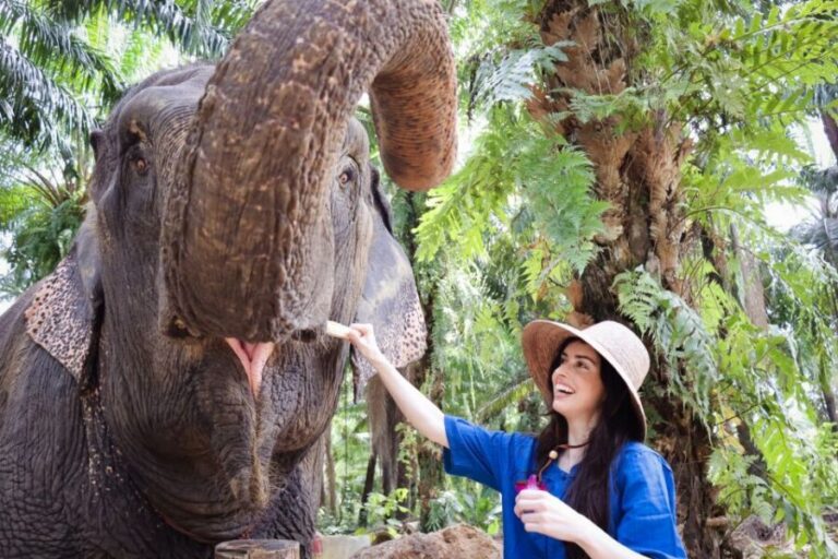 Krabi: Elephant Bathing Session at Krabi Elephant Shelter - Getting to Krabi Elephant Shelter: Pickup Times and Where You Actually Meet