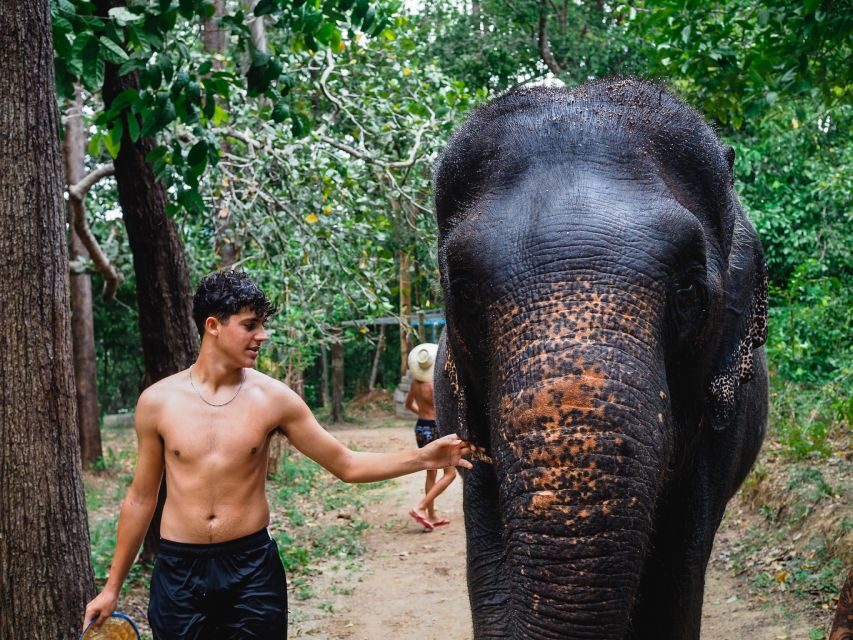 Krabi: Elephant Bathing Session at Krabi Elephant Shelter - Photos and Snacks: How You Get Memories Without Doing Extra Work